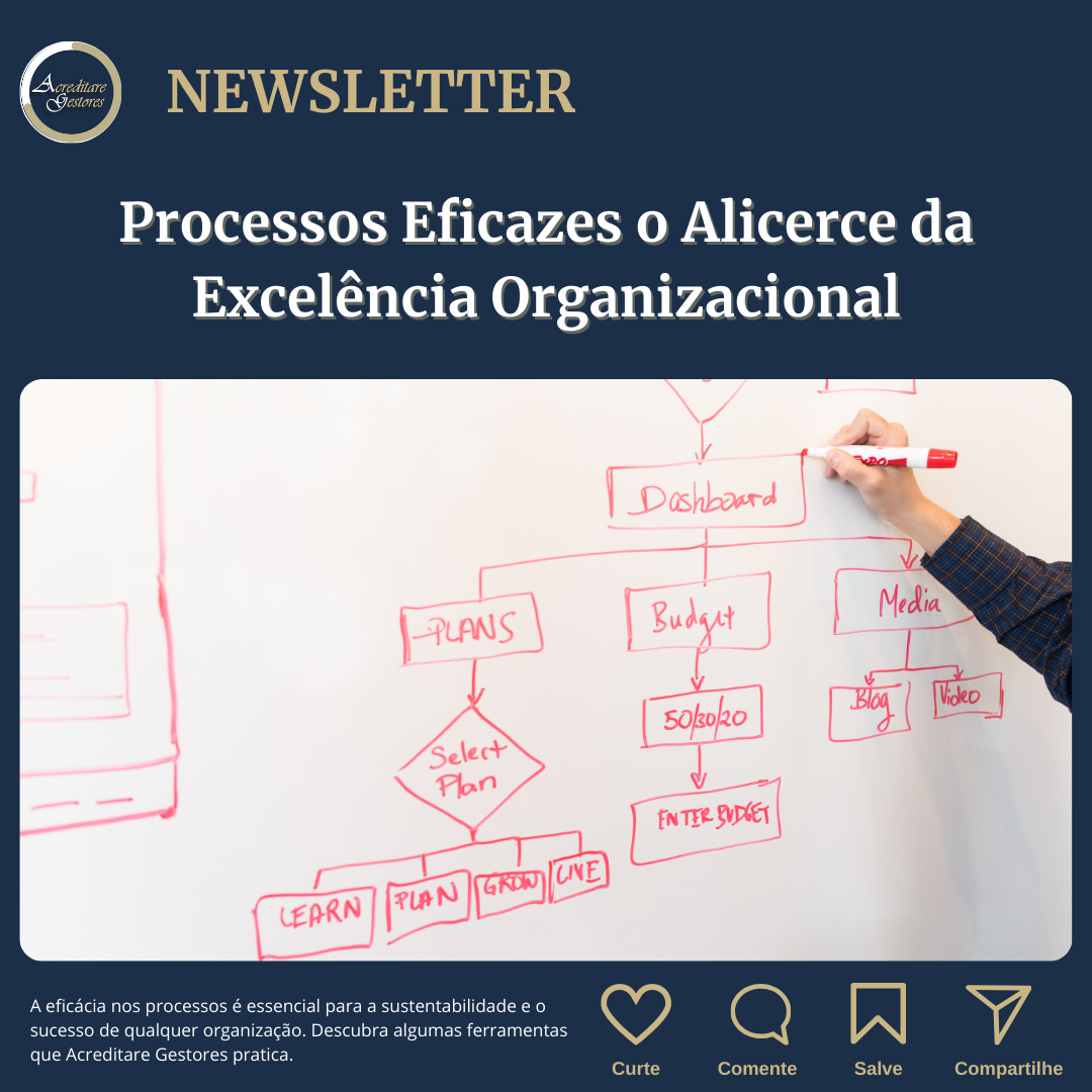 Processos Eficazes o Alicerce da Excelência Organizacional