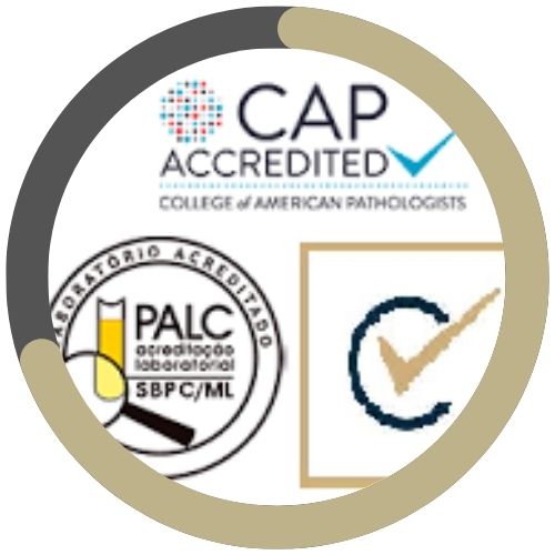 PALC, DICQ e CAP