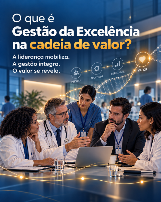 O que é Gestão da Excelência na cadeia de valor?